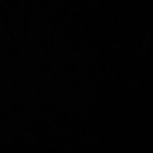 Meet your Posher, Jade